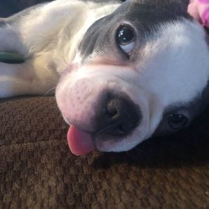 Meet your Posher, Candi